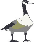 goose1_gif.gif (876 bytes)