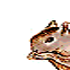squirrel.gif (7238 bytes)