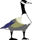 goose1.gif (2674 bytes)